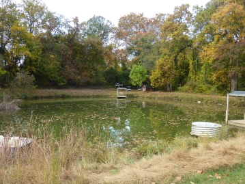 The Pond at Camp Sonshine