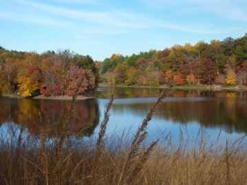 Lake Needwood in Rock Creek Park